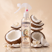 Coco 250 ml The Fruit Company