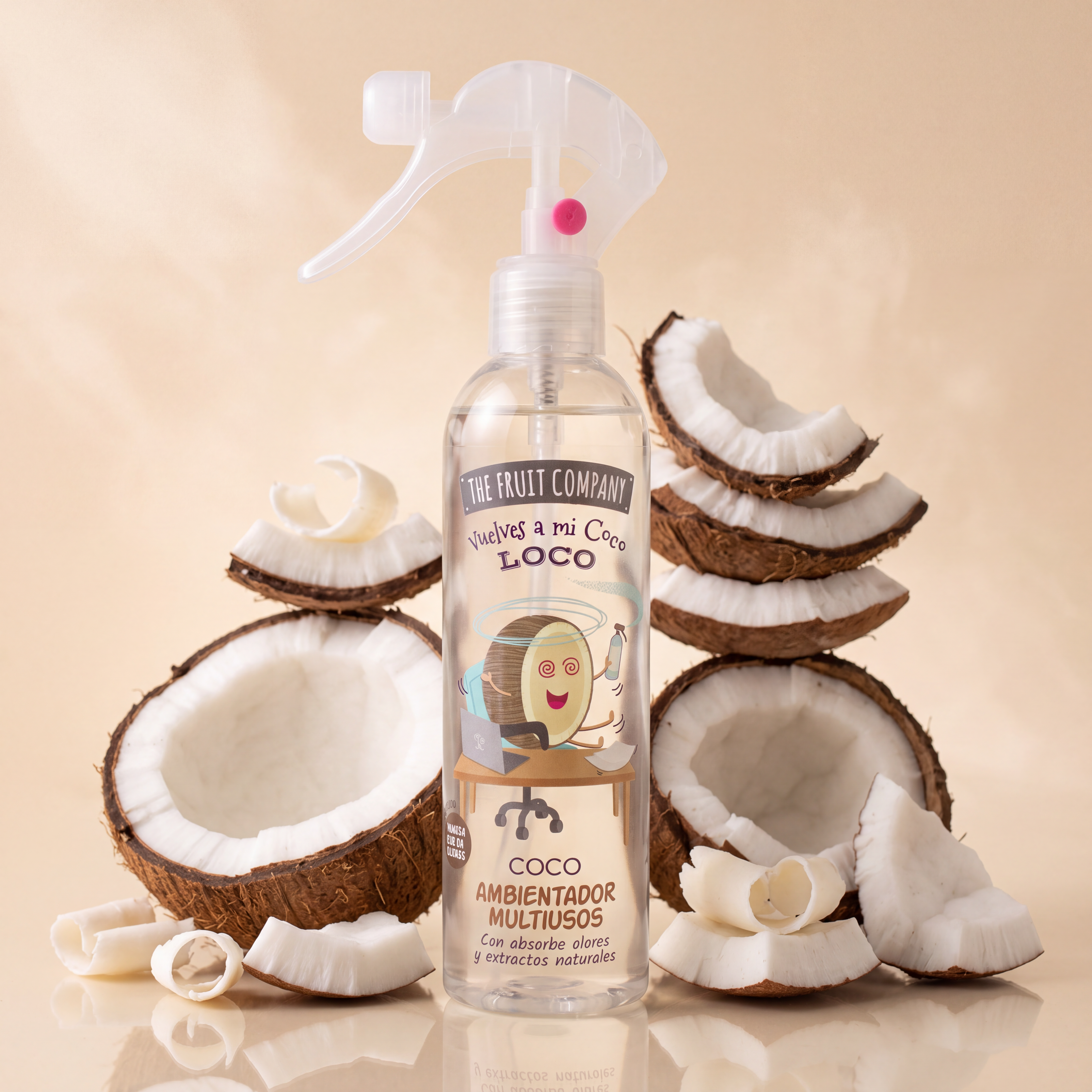 Coco 250 ml The Fruit Company