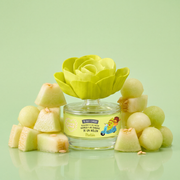 Melón 50 ml The Fruit Company