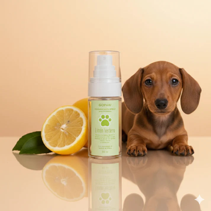 Fragancia para Mascotas Elimina Olores - Limón Verbena 50 ml