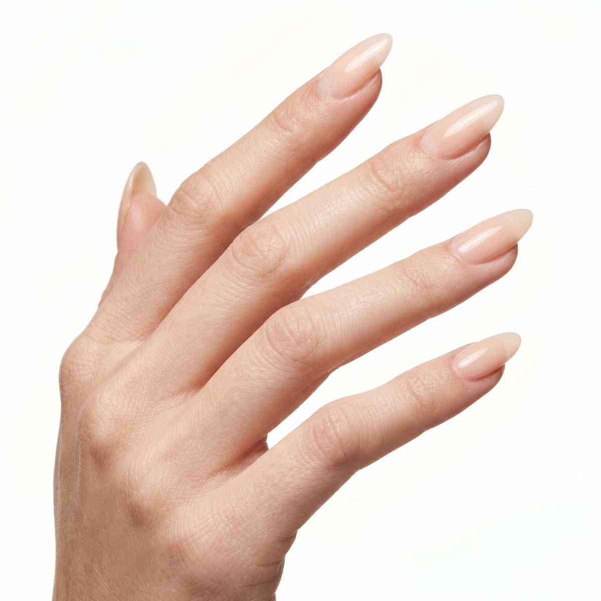 Builder Gel Constructor 15 g
