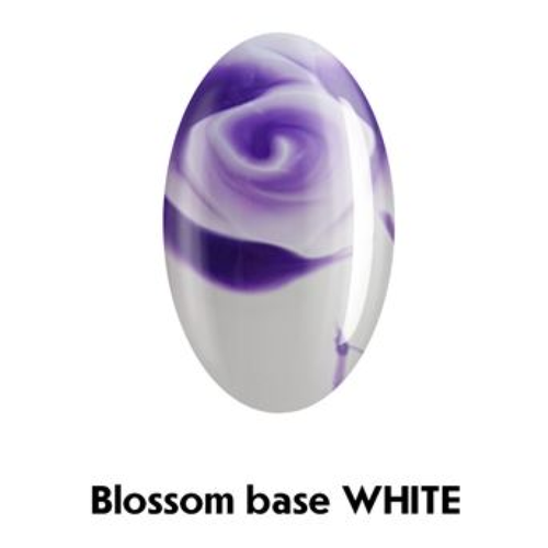 Blossom Base White