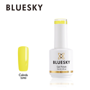 Esmalte Gel - SS1901