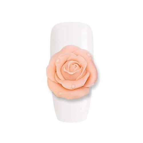 Gel 4D - 06 Coral