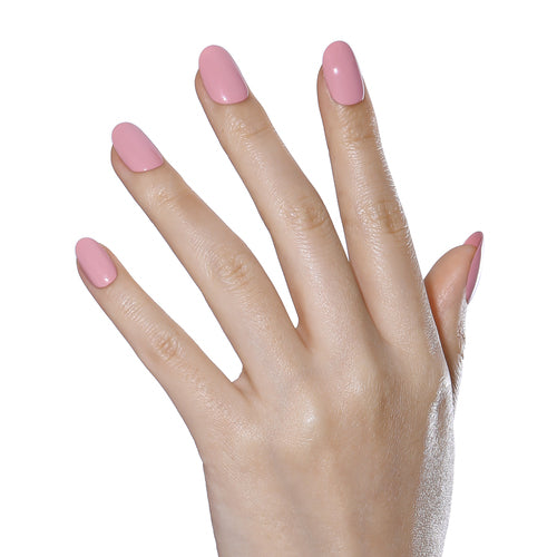 Gel Paint Solid Gel